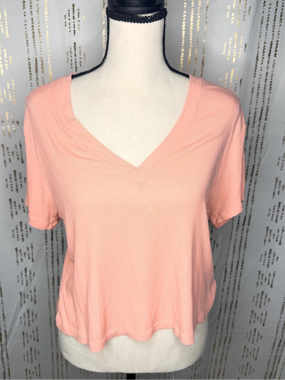 American Eagle Outfitters Peach soft & sexy cropped V-Neck Short Sleeve Tee